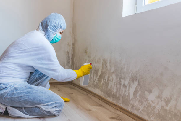 Crawl Space Mold Removal in Hawthorne, NJ