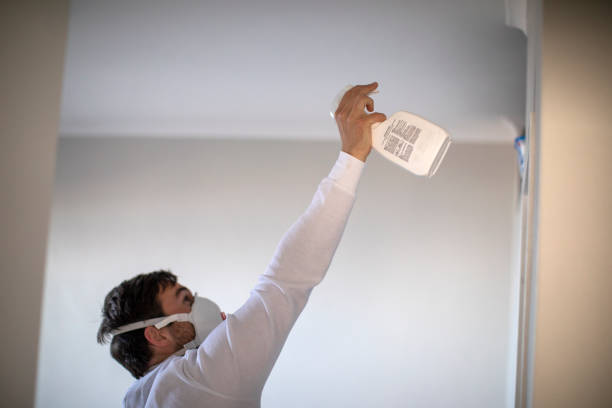 Best Certified Mold Removal  in Hawthorne, NJ