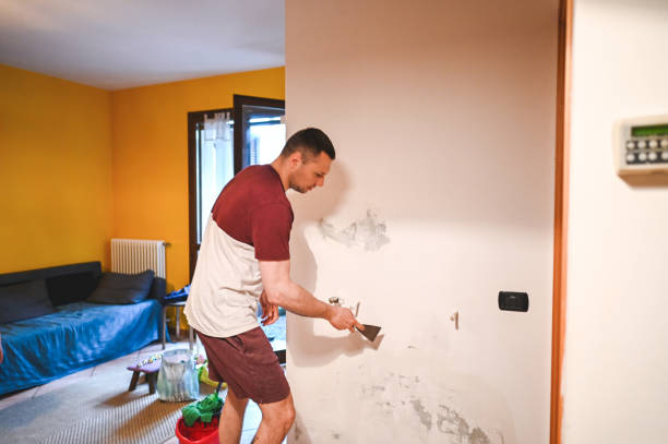 Best Black Mold Removal  in Hawthorne, NJ