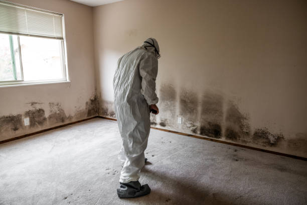 Best Residential Mold Removal  in Hawthorne, NJ