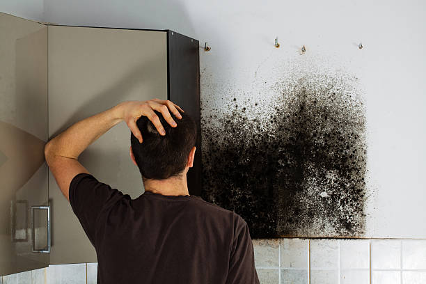 Trusted Hawthorne, NJ Mold Removal Experts